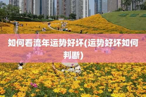 如何看流年运势好坏(运势好坏如何判断)