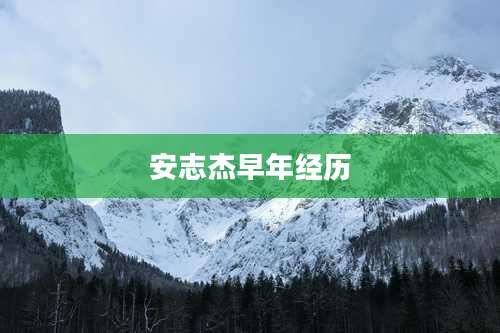 安志杰早年经历