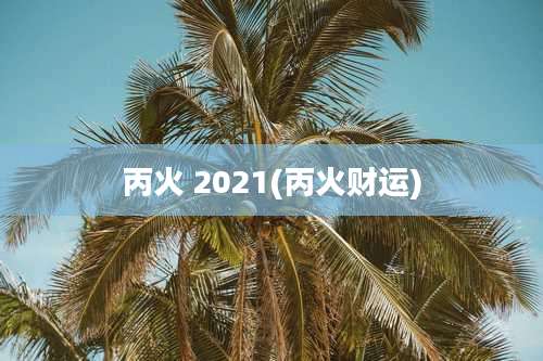 丙火 2021(丙火财运)