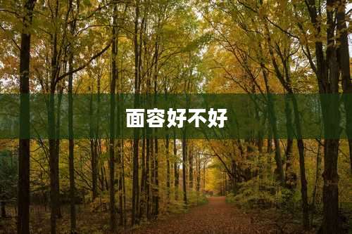 面容好不好