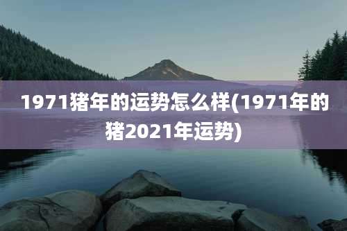 1971猪年的运势怎么样(1971年的猪2021年运势)