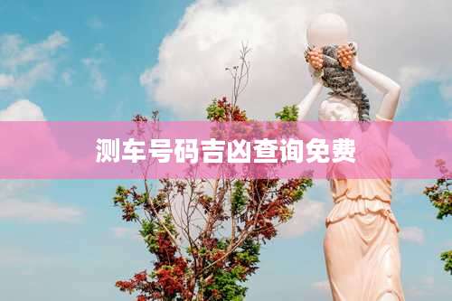 测车号码吉凶查询免费