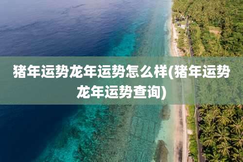 猪年运势龙年运势怎么样(猪年运势龙年运势查询)
