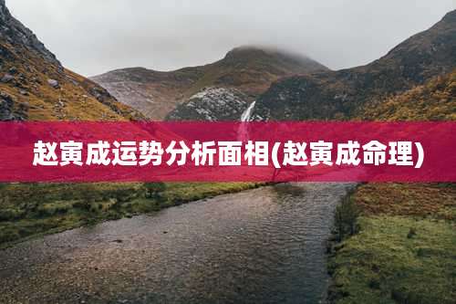 赵寅成运势分析面相(赵寅成命理)