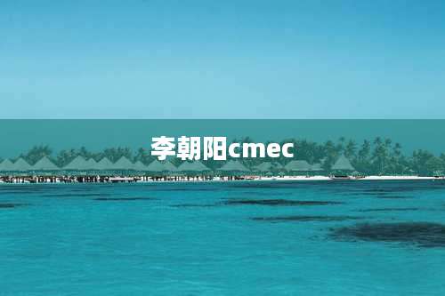 李朝阳cmec