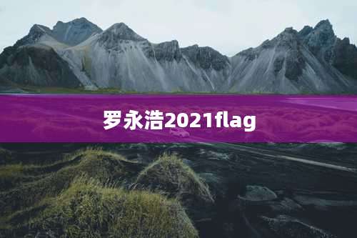 罗永浩2021flag