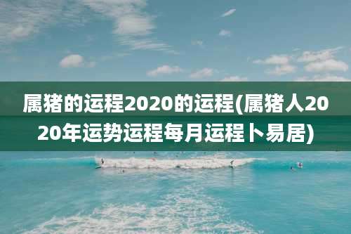 属猪的运程2020的运程(属猪人2020年运势运程每月运程卜易居)