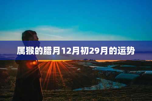 属猴的腊月12月初29月的运势