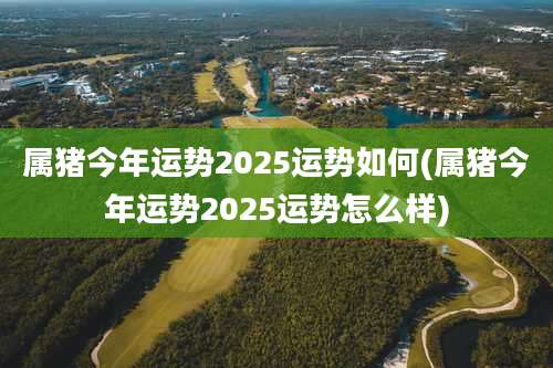 属猪今年运势2025运势如何(属猪今年运势2025运势怎么样)