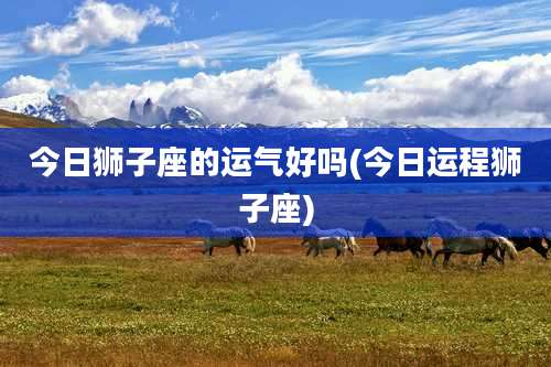 今日狮子座的运气好吗(今日运程狮子座)