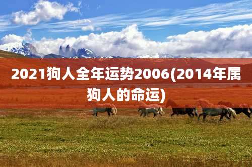 2021狗人全年运势2006(2014年属狗人的命运)