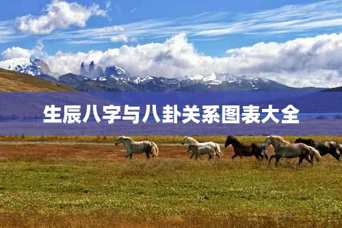 生辰八字与八卦关系图表大全