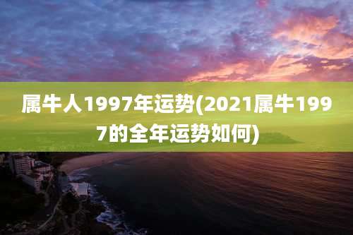 属牛人1997年运势(2021属牛1997的全年运势如何)