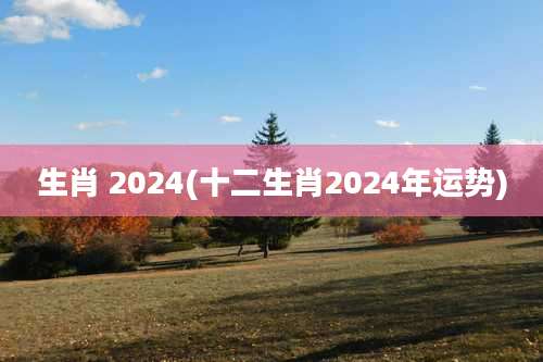 生肖 2024(十二生肖2024年运势)