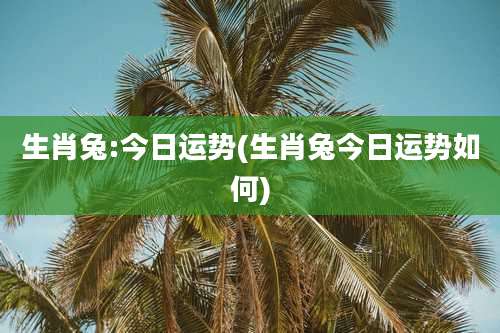 生肖兔:今日运势(生肖兔今日运势如何)