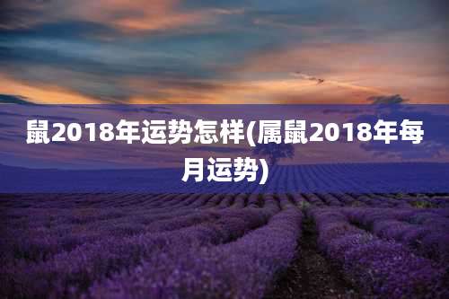 鼠2018年运势怎样(属鼠2018年每月运势)