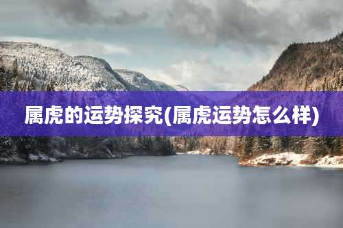 属虎的运势探究(属虎运势怎么样)