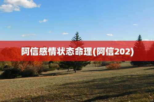 阿信感情状态命理(阿信202)