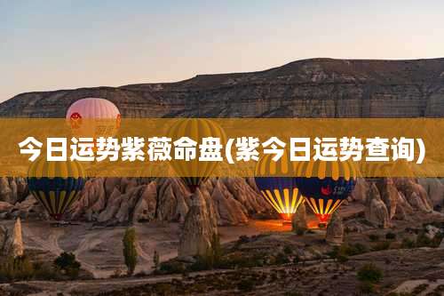 今日运势紫薇命盘(紫今日运势查询)