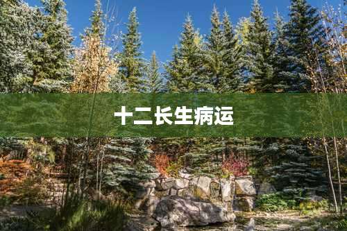十二长生病运