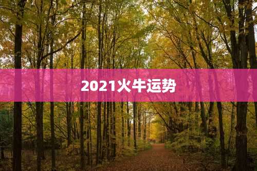 2021火牛运势