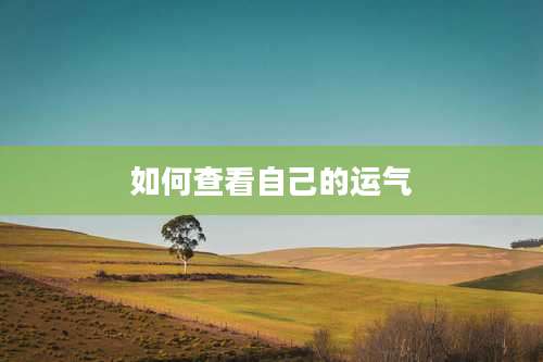 如何查看自己的运气