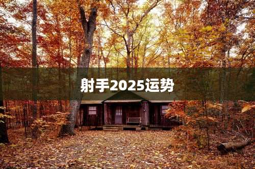 射手2025运势