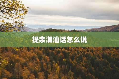 提亲潮汕话怎么说