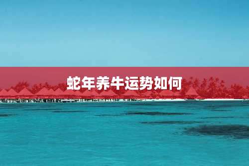 蛇年养牛运势如何