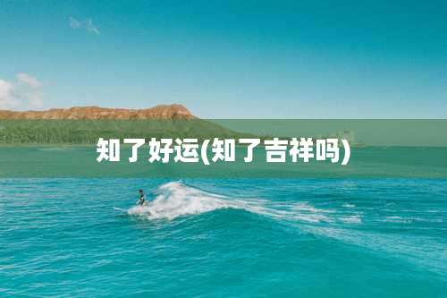 知了好运(知了吉祥吗)