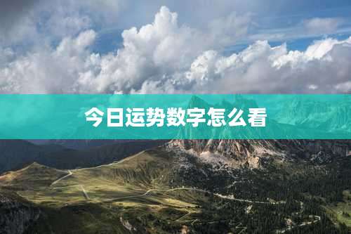 今日运势数字怎么看
