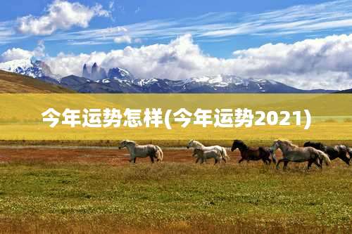 今年运势怎样(今年运势2021)