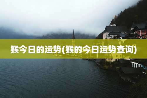 猴今日的运势(猴的今日运势查询)