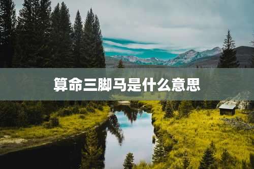 算命三脚马是什么意思