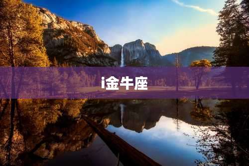 i金牛座