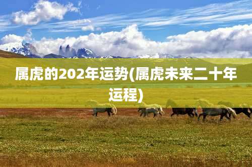 属虎的202年运势(属虎未来二十年运程)