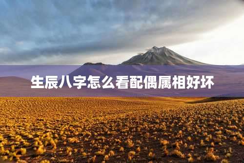生辰八字怎么看配偶属相好坏