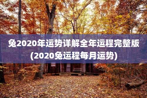 兔2020年运势详解全年运程完整版(2020兔运程每月运势)