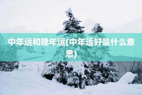 中年运和晚年运(中年运好是什么意思)
