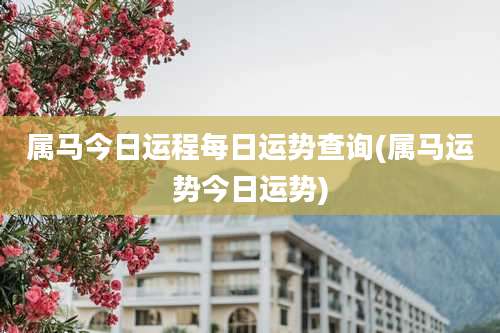 属马今日运程每日运势查询(属马运势今日运势)