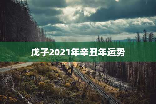 戊子2021年辛丑年运势