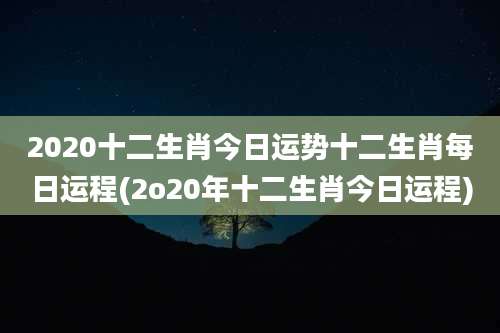 2020十二生肖今日运势十二生肖每日运程(2o20年十二生肖今日运程)