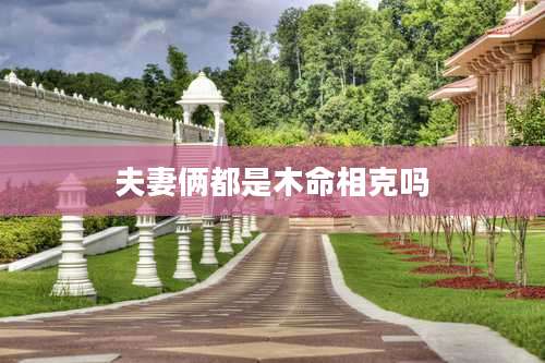 夫妻俩都是木命相克吗