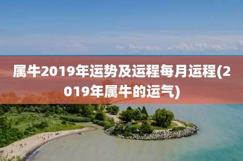 属牛2019年运势及运程每月运程(2019年属牛的运气)