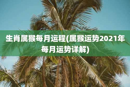 生肖属猴每月运程(属猴运势2021年每月运势详解)