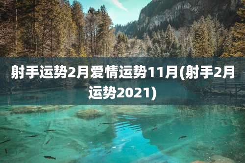 射手运势2月爱情运势11月(射手2月运势2021)