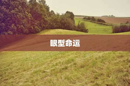 眼型命运
