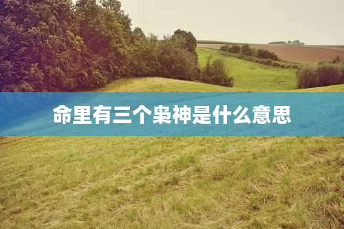 命里有三个枭神是什么意思
