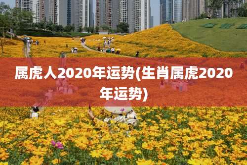 属虎人2020年运势(生肖属虎2020年运势)