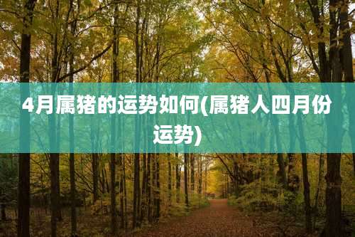 4月属猪的运势如何(属猪人四月份运势)